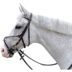 Trense mit gekreuztem Sperrriemen Canter