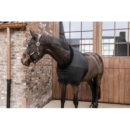 Brustschutz Kentucky