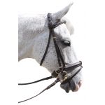 Trensenzaum Pull Back Euro Canter