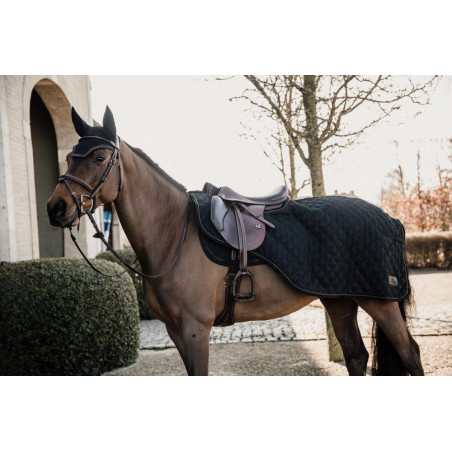 Kentucky Nierendecke