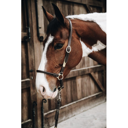 Putzhalfter aus Leder Kentucky