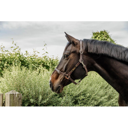 Flexibler Halfter Kentucky