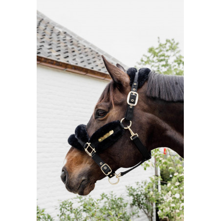 Nylonhalfter Schaf Soft Kentucky