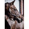 Halfter Pearls Kentucky - Silber