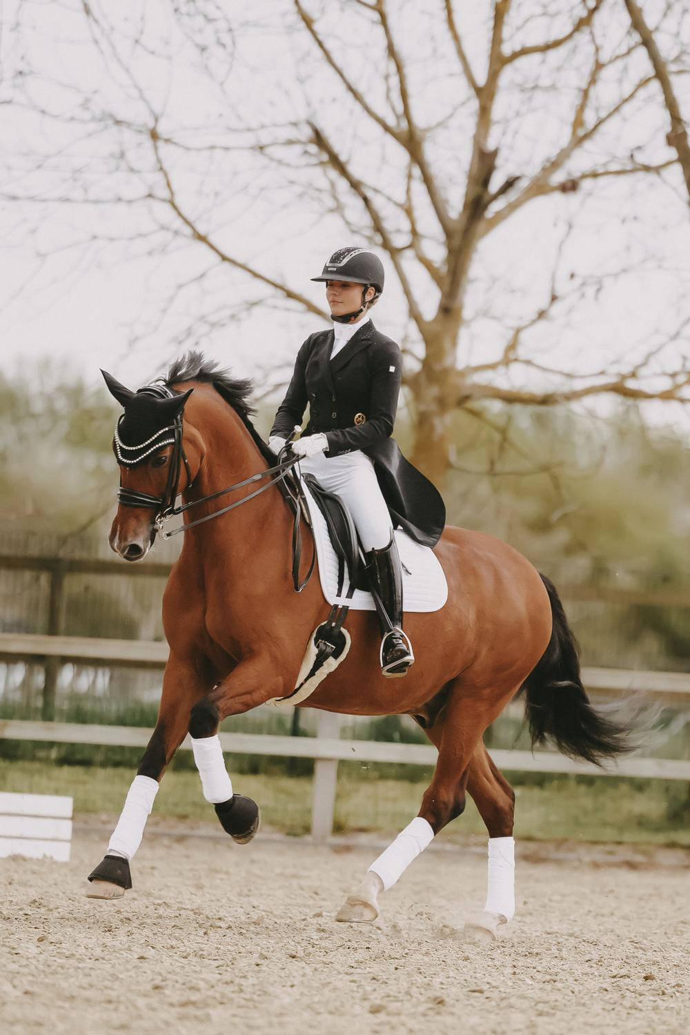 Polo Bandagen Polar Fleece Pearls Kentucky Weiß Wei&szlig;