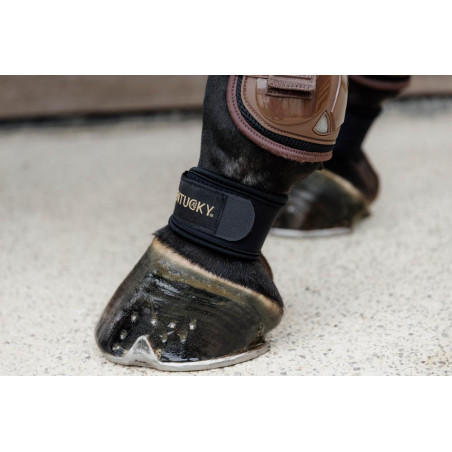 Fesselkopfschutz Kentucky