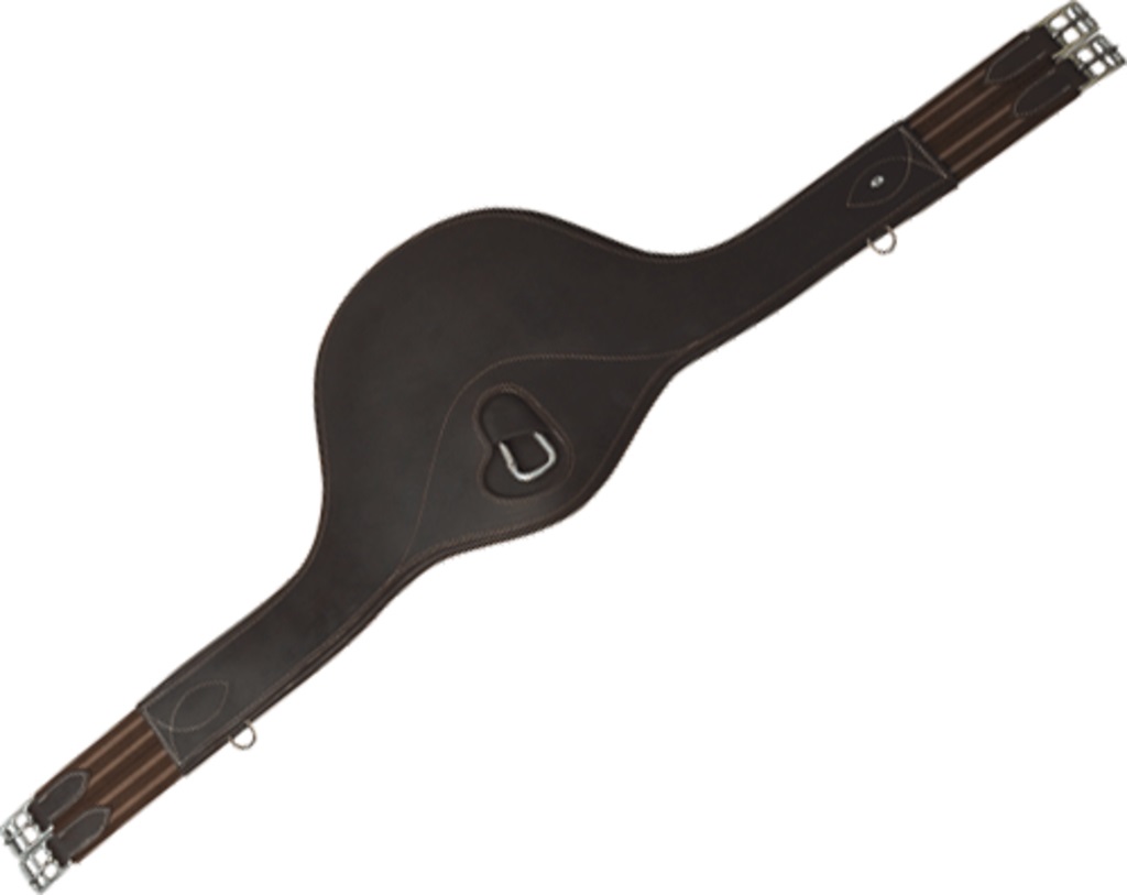 Bauchgurt Privilege Equitation Braun