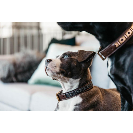 Handgefertigte Perlen-Hundehalsband Kentucky