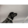 Hundehalsband Hahnentritt Kentucky - Braun
