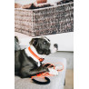 Soft Rubber Hundehalsband Kentucky - Neonorange