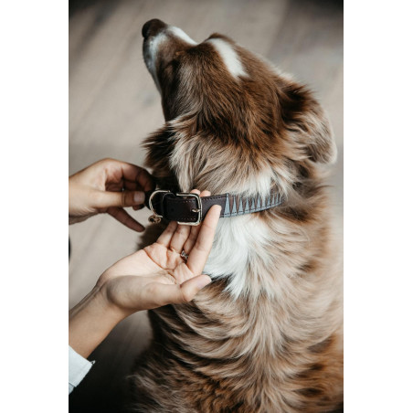 Hundehalsband Triangle Kentucky