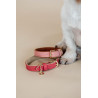 Hundehalsband Vegan Leather Kentucky - Rot