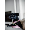 Hundehalsband Wool Kentucky - Hellrosa