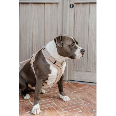 Hundegeschirr Active Teddy Fleece Kentucky