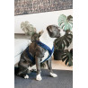 Active Velvet Hundegeschirr Kentucky - Marineblau