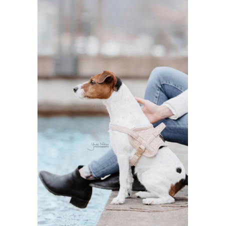 Hundegeschirr Body Safe Wool Kentucky