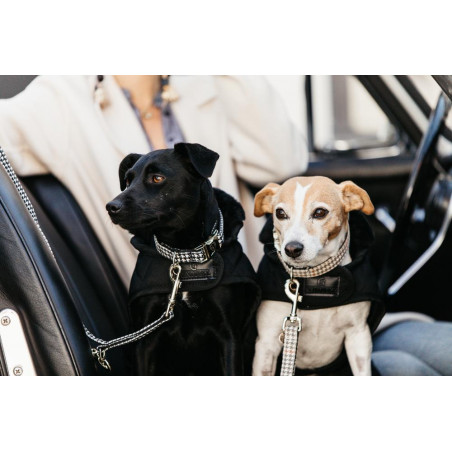 Hundeleine Hahnentritt Kentucky