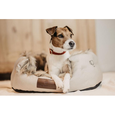 Höhlen-Hundebett Kentucky