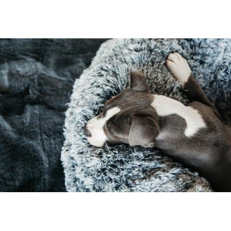 Bequemes Donut-Hundebett Kentucky