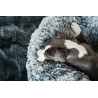 Bequemes Donut-Hundebett Kentucky - Grau