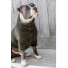 Hundepullover Teddy Fleece Kentucky - Tannengrün