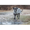 Wasserdichte Hundejacke Kentucky - Puderblau