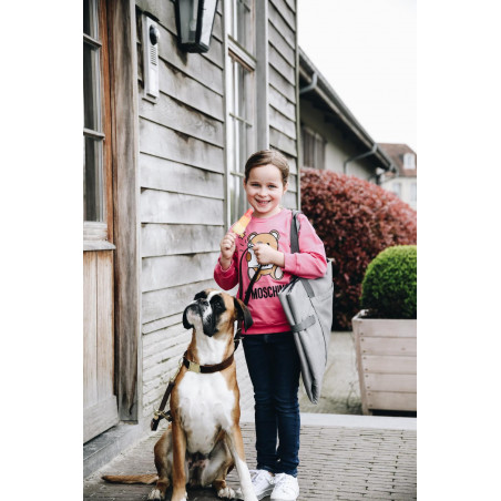 Hundebett Travel In Style Kentucky