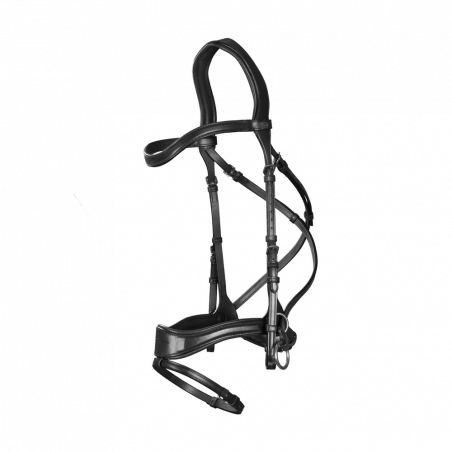 Trense D Motion New English Collection by Dy'on