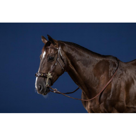 Bridon Hackamore US Collection by Dy'on