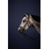 Hackamore-Zaum New English Collection by Dy'on - Braun