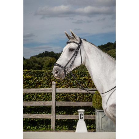 Reithalfter mit deutschem Reithalfterriemen New English Collection by Dy'on