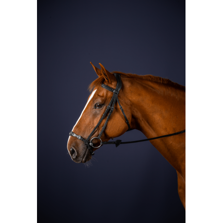 Trensenzaum mit verstellbarem deutschem Reithalfter New English Collection by Dy'on