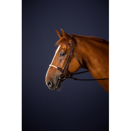 Trensenzaum Nasenriemen Seil New English Collection by Dy'on