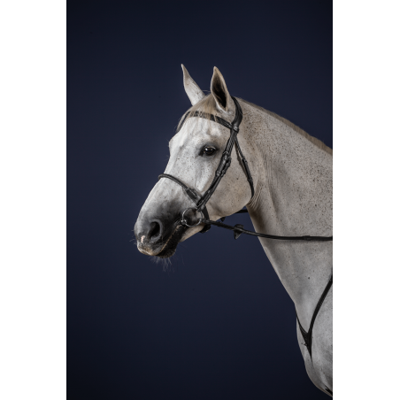 Trensenzaum Nasenriemen mit Leder überzogen New English Collection by Dy'on