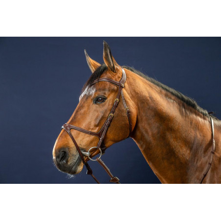 Trense X-Fit D Collection by Dy'on