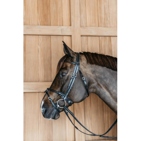 Rundes Lederzaumzeug Working By Dy'on