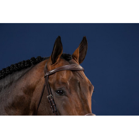 Rechtsanatomisches Stirnband US Collection by Dy'on