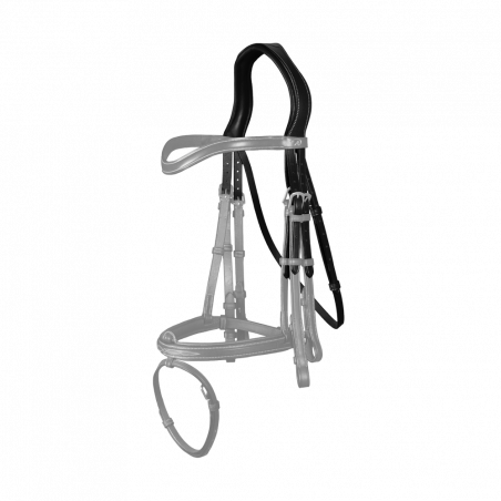 Trensenzaum-Kopfstück D Collection by Dy'on