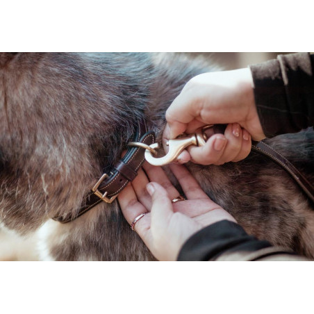 Dy'on Hundehalsband mit dekorativer Ziernaht