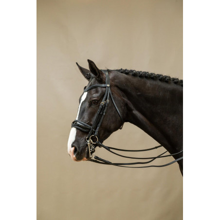 Trense Nasenriemen Groß Lackiert Working By Dy'on