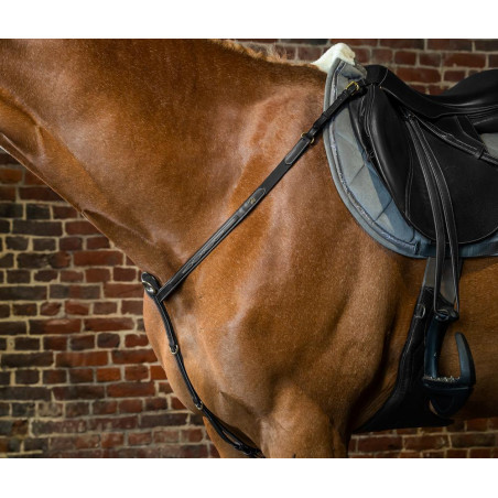 Brustblatt D Collection by Dy'on