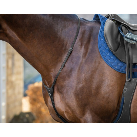 Joch Neue Englische Kollektion von Dy'on