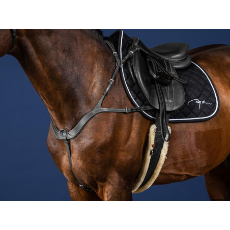 Anatomisches Vorderzeug US Collection by Dy'on