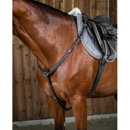 Brustblatt Working By Dy'on