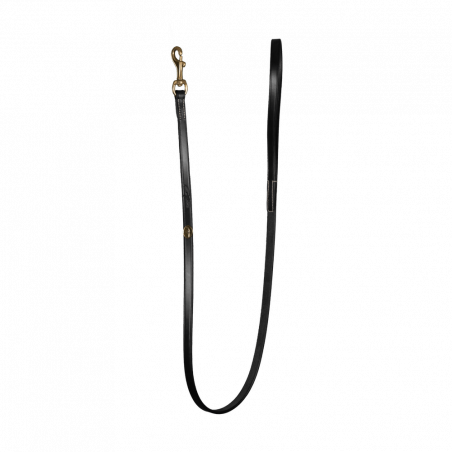 Lederhundehalsband Klassisch Dy'on