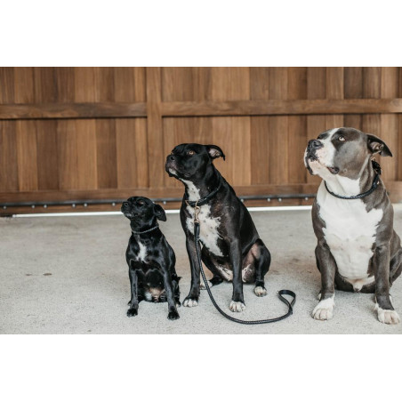 Geflochtene Hundeleine Dy'on