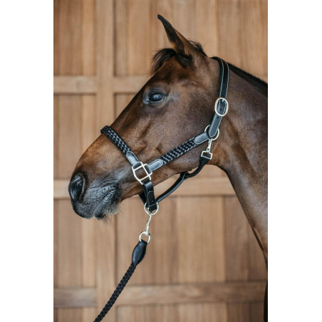 Geflochtener Halfter Working By Dy'on