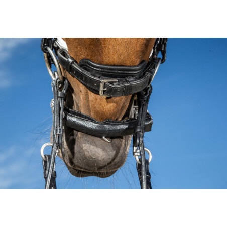 Schutz für Kinnkette mit Neopren Dy'on