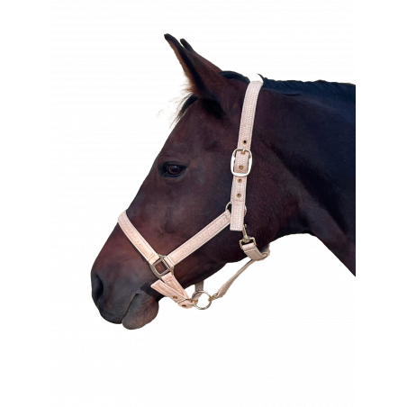 Halfter Canter Malibu