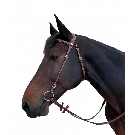 Trense Flags & Taça Freedom